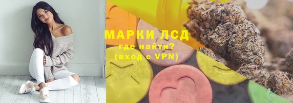 PSILOCYBIN Алзамай