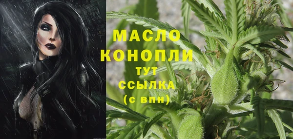 PSILOCYBIN Алзамай