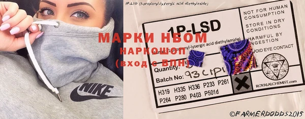 PSILOCYBIN Алзамай