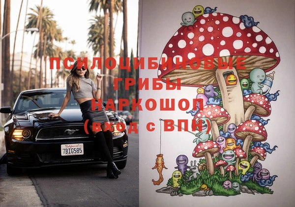 PSILOCYBIN Алзамай