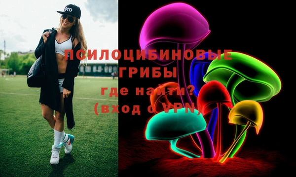 PSILOCYBIN Алзамай