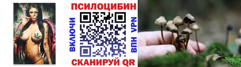 наркота Нестеров Галлюциногенные грибы Psilocybe